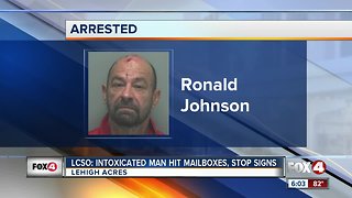 Man hits mailbox