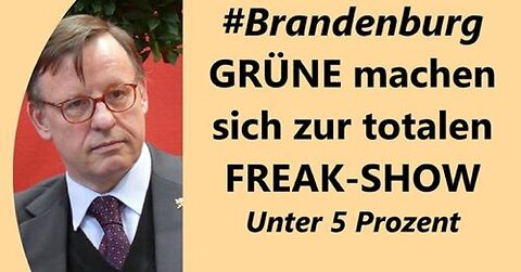 Grüner Verfolgungswahn: Lang, Hofreiter etc. sehen riesige Verschwörung - wollen Zensur