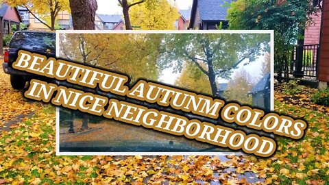 Filipina in USA/ BEAUTIFUL AUTUMN COLORS IN A NICE NEIGHBORHOOD