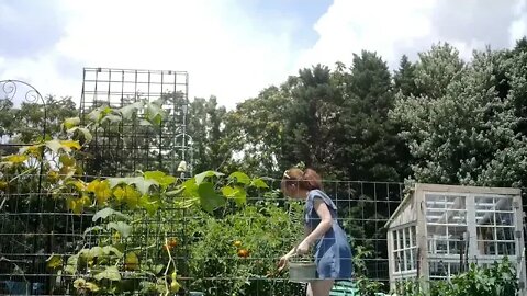 My hunny picks Toms!