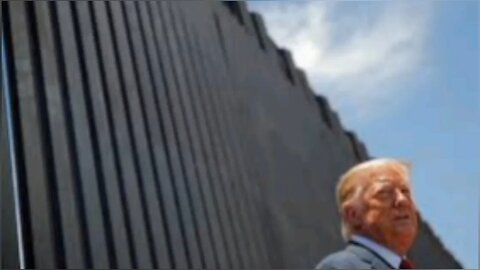 The Fox and Rice Experience - Illegals in My Yard (Donald Trump AI Cover)