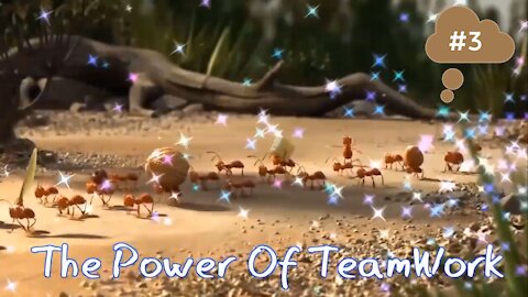 The Power of Team work Part 3