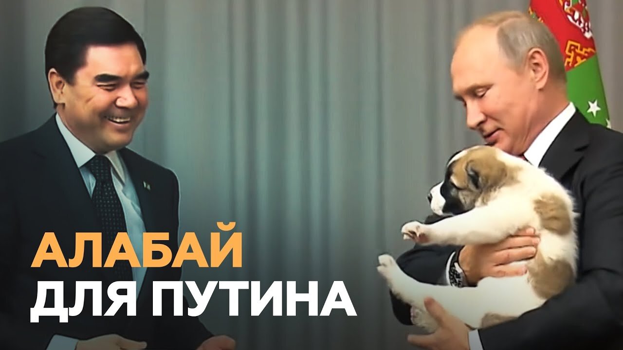 The President of Turkmenistan presented President Putin with an Alabai puppy
