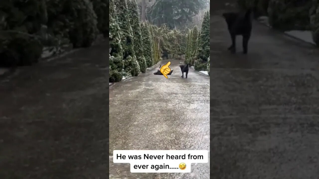 He knew the consequences.