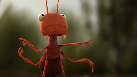 Animation Video