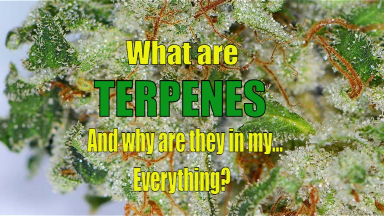 What Are Terpenes, And Why Are They In My... Everything?