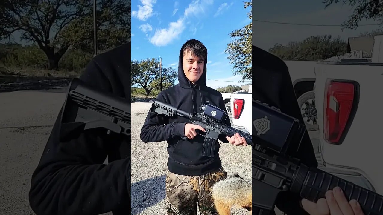 First gray fox thanks to the ACCUFIRE INCENDIS.