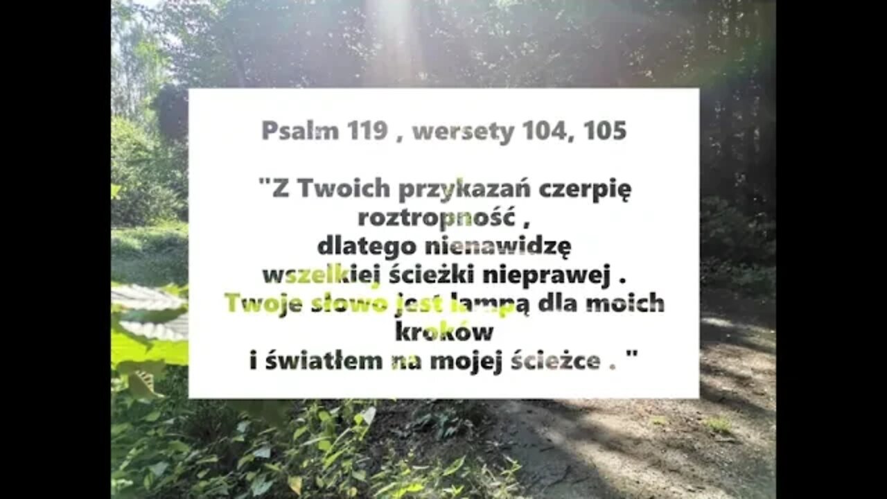 Słowo oświetla naszą drogę Psalm 119 , wersety 104, 105