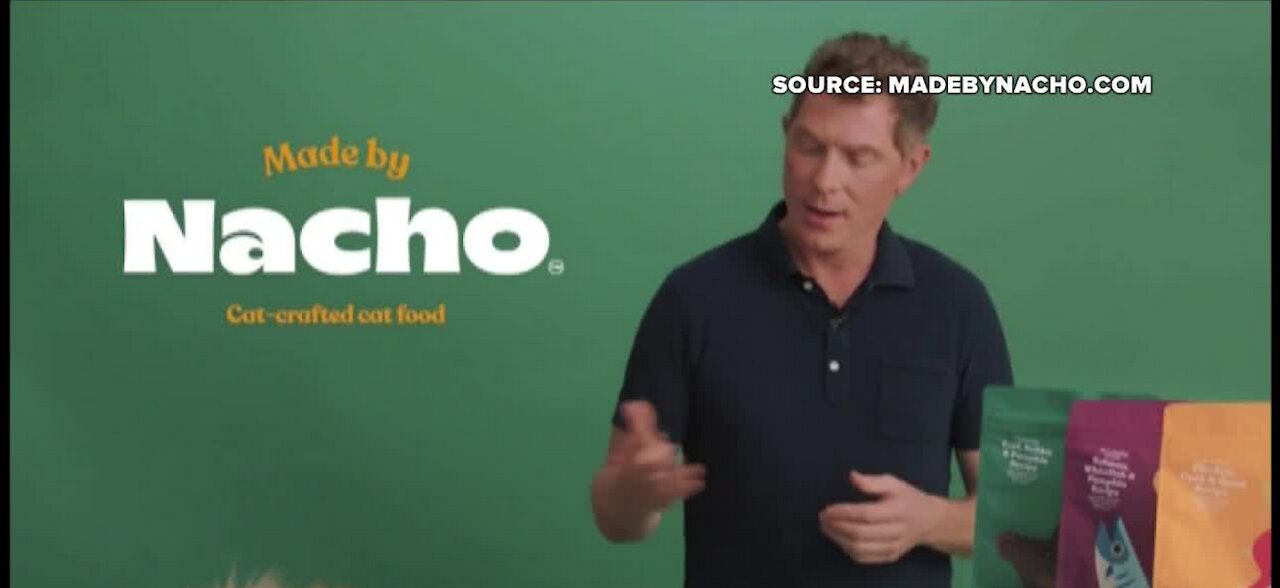 Chef Bobby Flay debuts cat food products