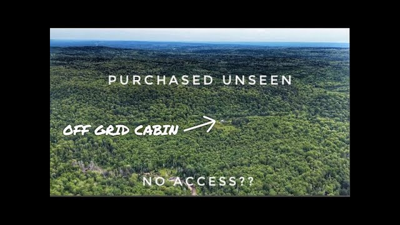 We bought an OFF GRID CABIN in the woods UNSEEN with NO ACCESS???