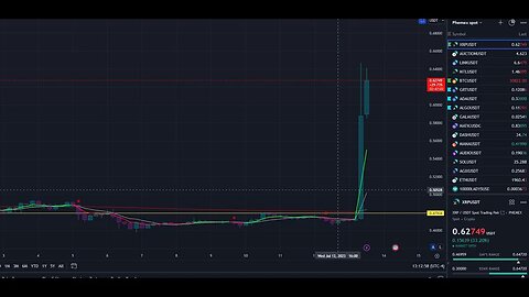 XRP is NOT a SECURITY Summary Judgement is in!