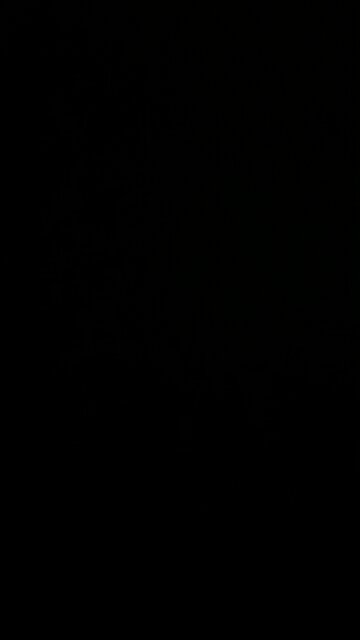 Deport the illegals!