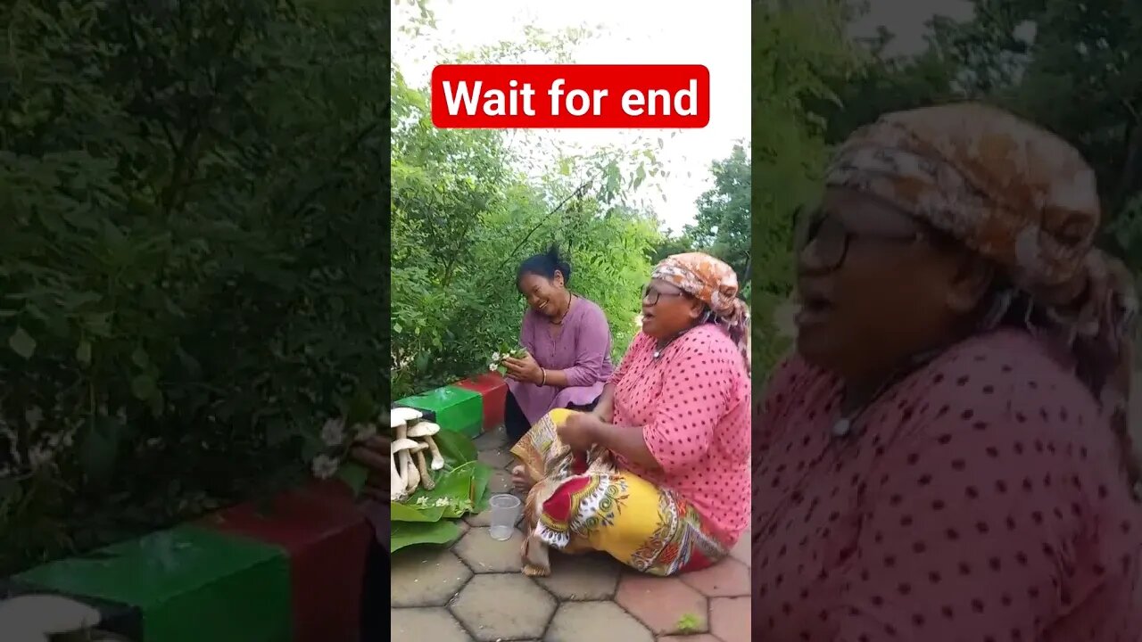 nepali ko para#shorts #tranding #youtubeshorts #rimalvlogs #viral #nepal #shortviral #fact #dance