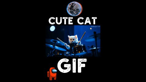 Cute Cat Gif
