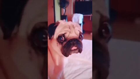 That’s the spot!😄