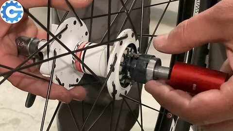 DT Swiss XR 20 freehub service