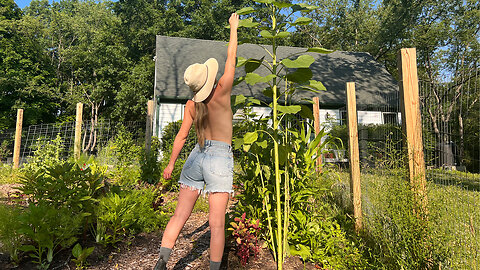 Moving the Greenhouse part 1 | Food Forest Garden