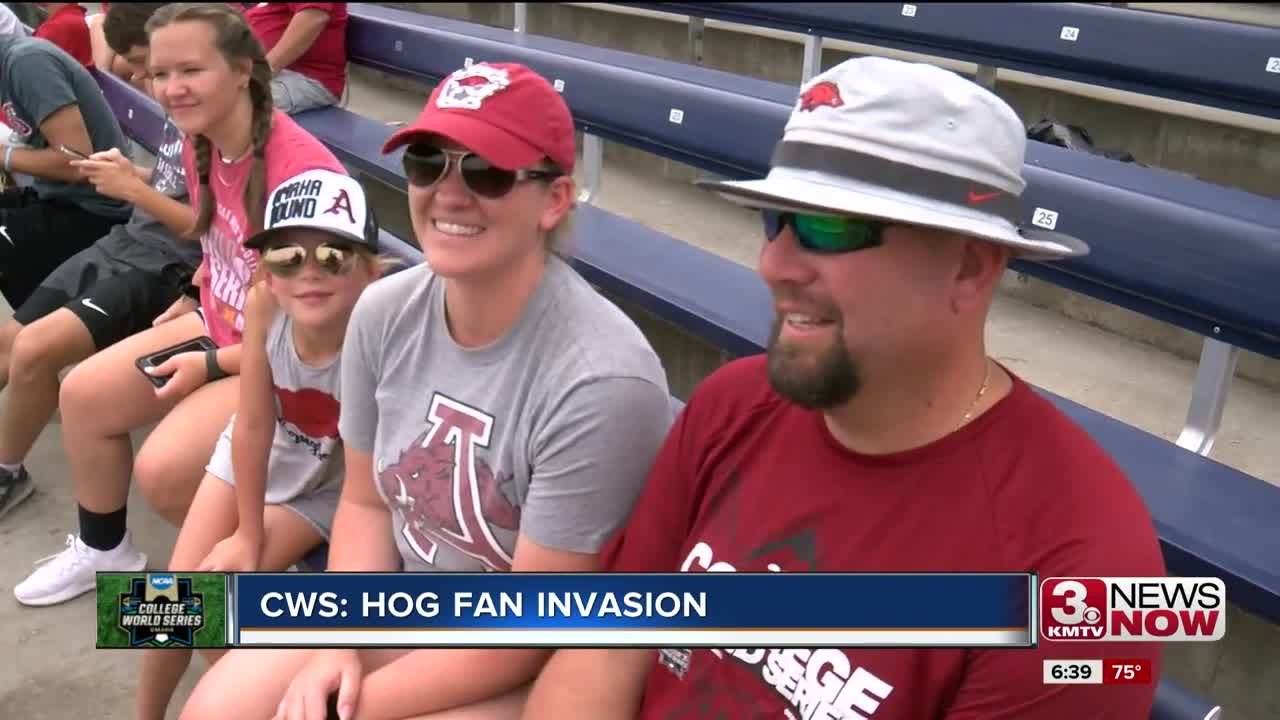 CWS: Hog fan invasion