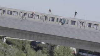 Trois jeunes plongent depuis un train en marche!