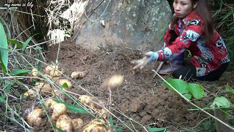 #108 + Harvest potatoes and go to the market to buy sweaters for a 90 year old grandmother