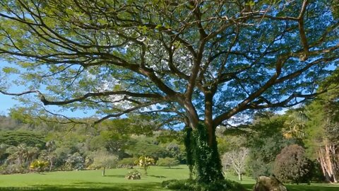 Incredible ! views ! of ! Hawaii's tropical islands