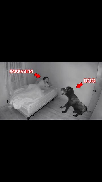 He thought he rescued a puppy, but realized his horrible mistake ! #puppy