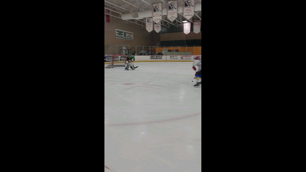 defense and save hockey