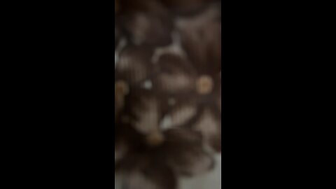Guys what is this tell me in the comments box plz