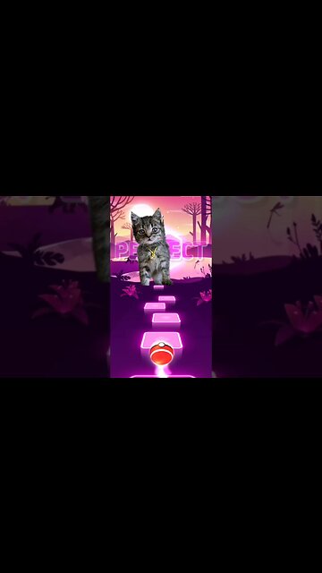 Cat Singing Dancin #shorts #music #cat