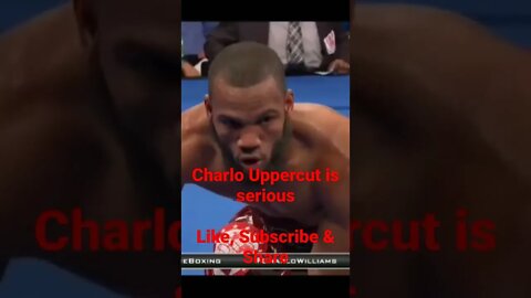 Jermall Charlo viciously KOs Julian Williams