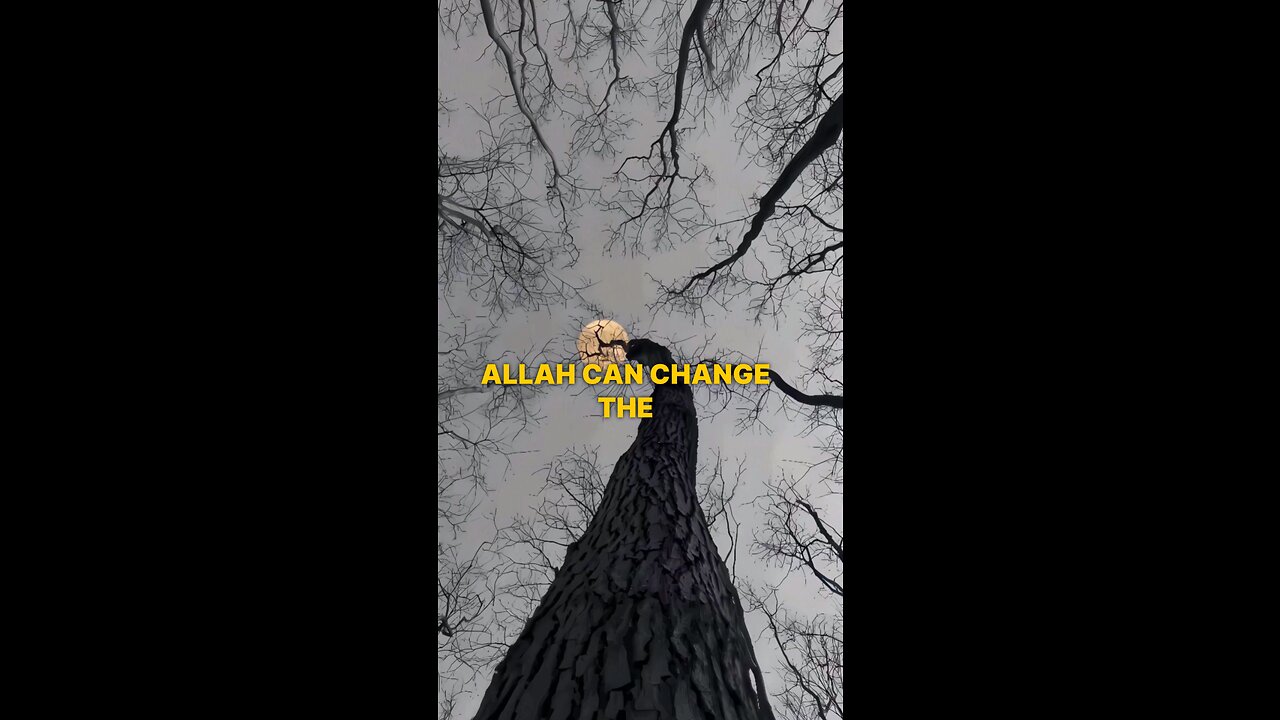Only ALLAH Knows #Motivational speech