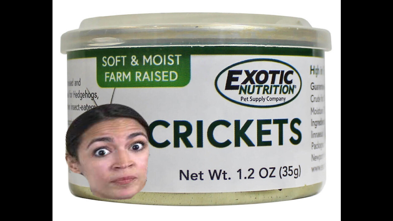 AOC CRICKETS