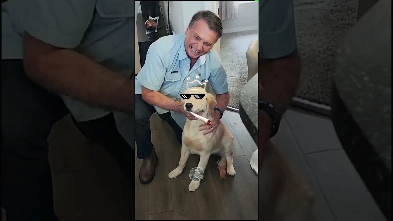 O Caramelo e o Mito Dogg
