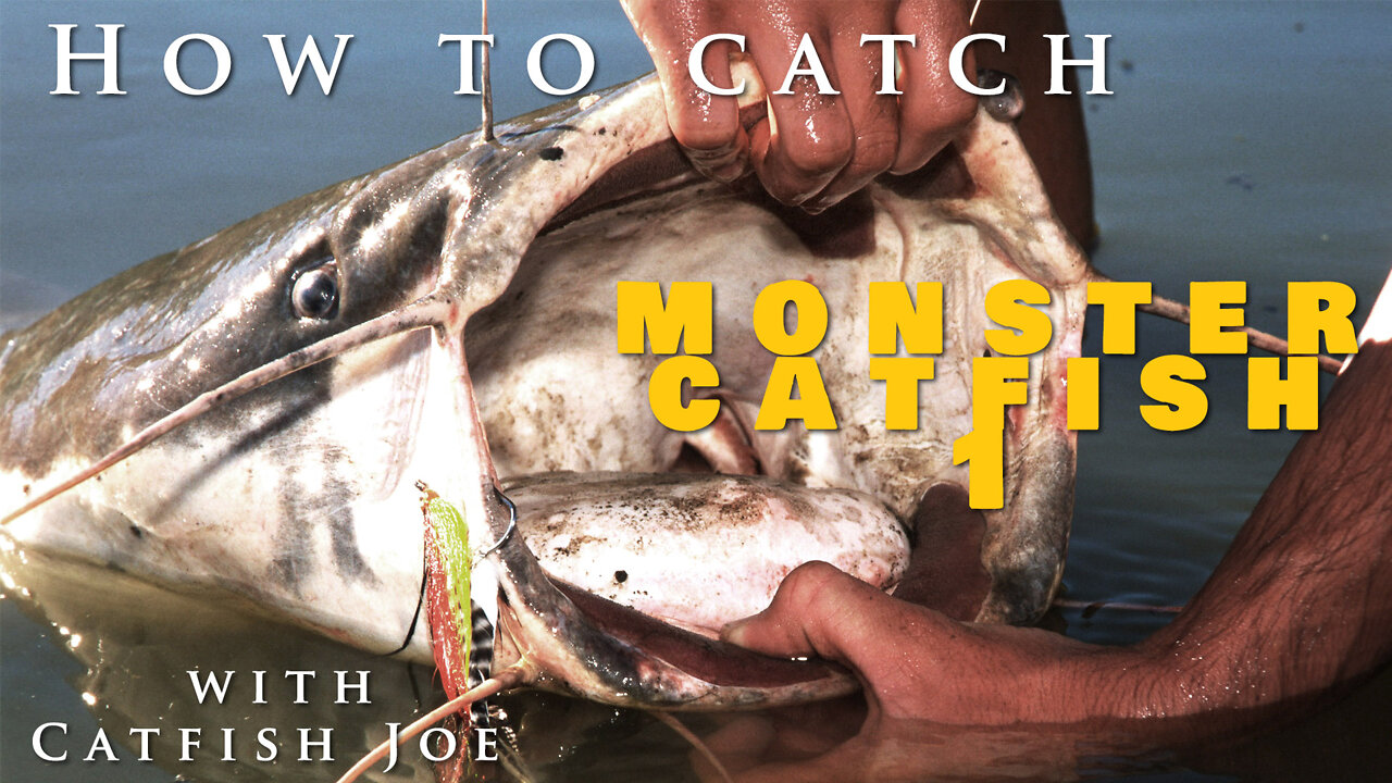 Catching Monster catfish in the Orange river South Africa