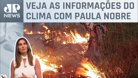 Focos de incêndio no Pantanal sobem em relação a 2022, segundo Inpe | Previsão do Tempo