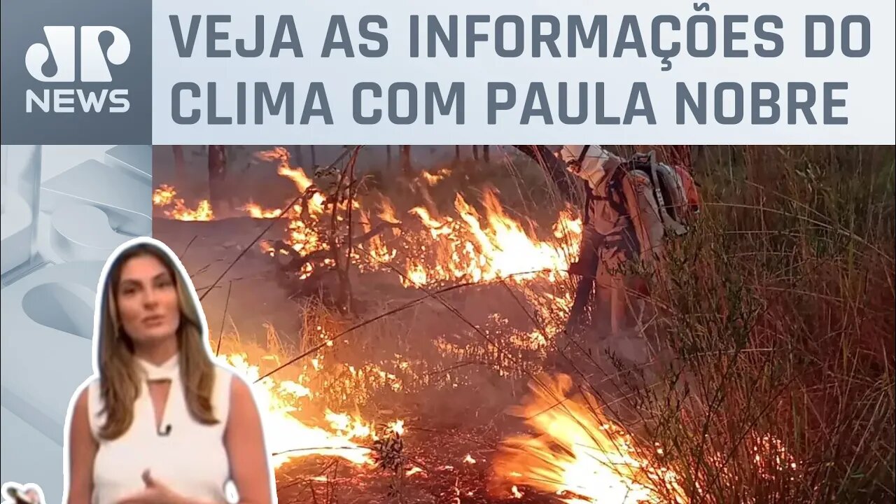 Focos de incêndio no Pantanal sobem em relação a 2022, segundo Inpe | Previsão do Tempo