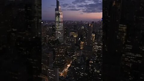 The CITY is a WILD Concrete Jungle!