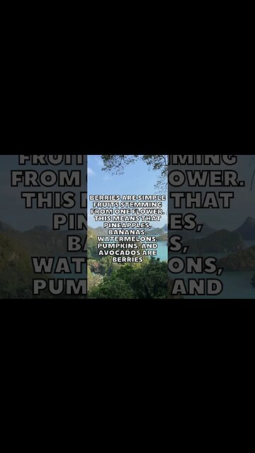 Incredible Random Facts That Will Expand Your Mind! [2023] #shorts #facts #viralshorts #fyp #life