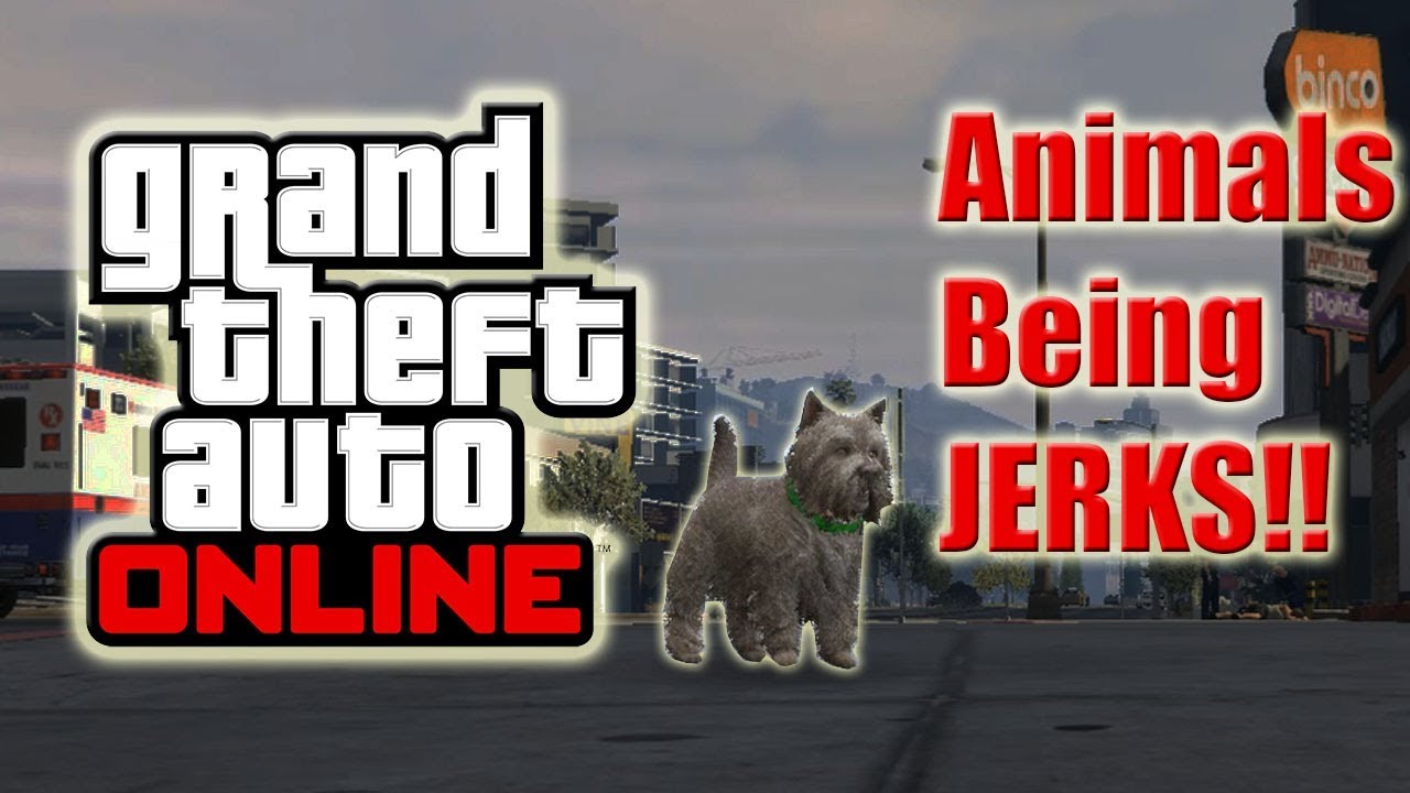 GTA 5 Online Animals Being Jerks