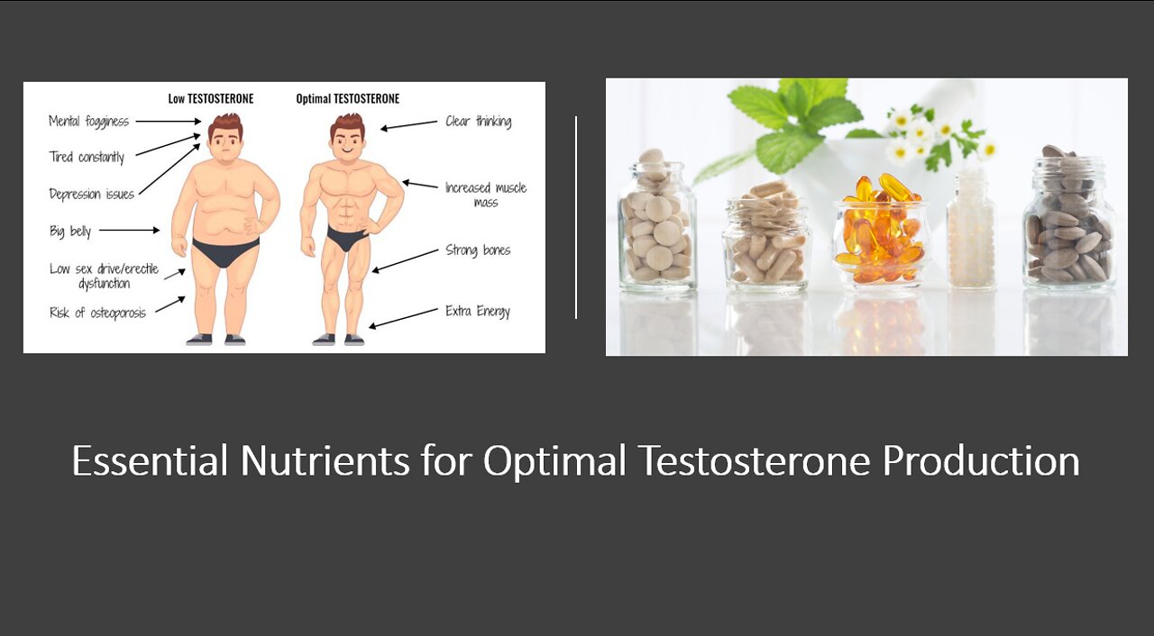 Testosterone Supplements & Nutrients