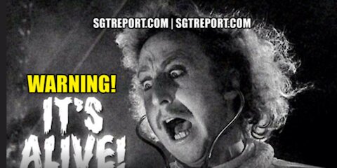 WARNING: IT'S ALIVE!?! SGT Report