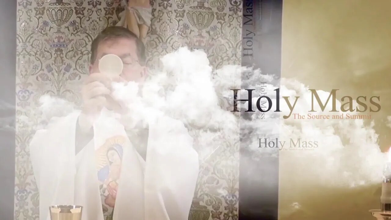 Live Mass with Fr. Frank Pavone of Priests for Life to Conclude Abortion Recovery Awareness Month