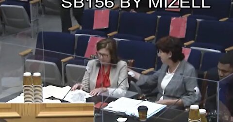 Senator Beth Mizell and Shelia Thompson Johnson