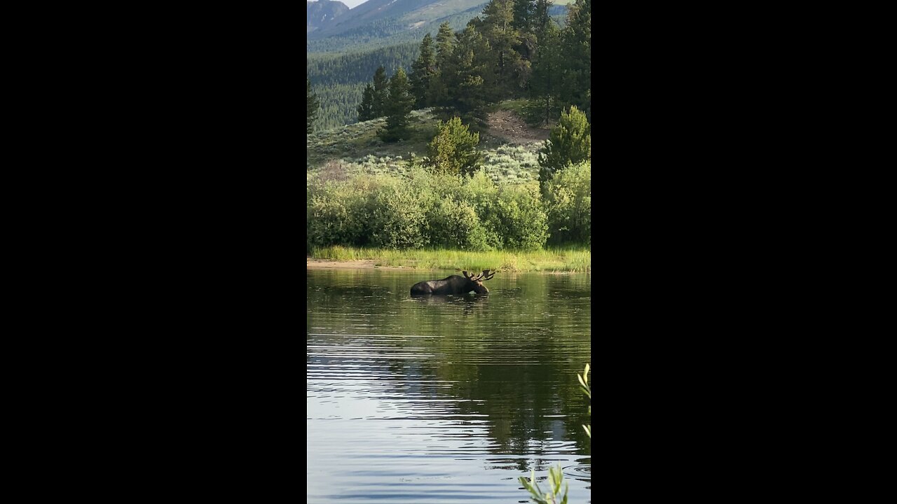 Taylor River Area