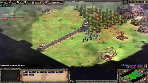 A race to see who can die faster! All villagers must die! Age of Empires 2