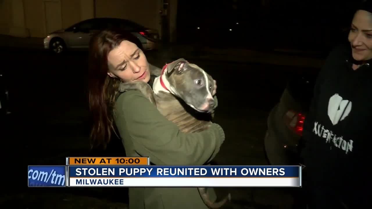 Puppy reunited with family after carjacking