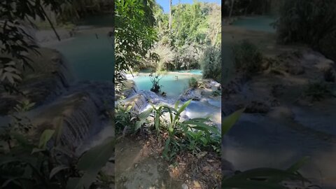 Kuang Si Waterfall Luang Prabang Laos 🇱🇦 #laos #Waterfall #shorts #luangprabang