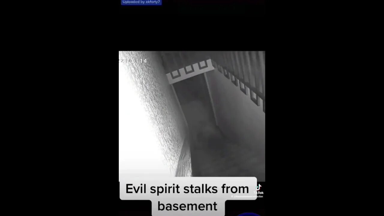 The Basement Stalker