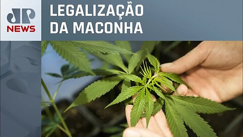 Alemanha propõe lei para uso recreativo de cannabis