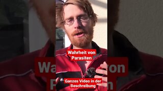 Die Wahrheit über Parasiten und Candida